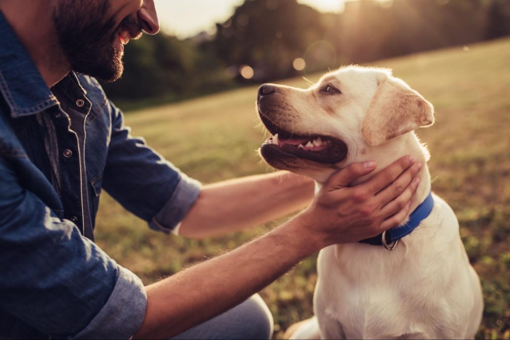 man and dog at a dog park ©4 PM production